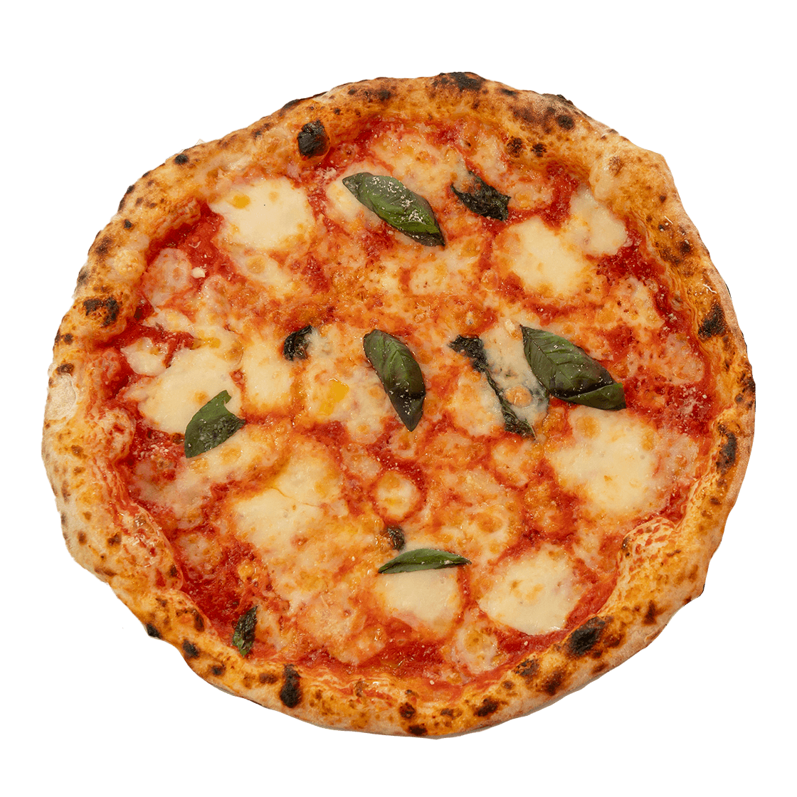 Margherita